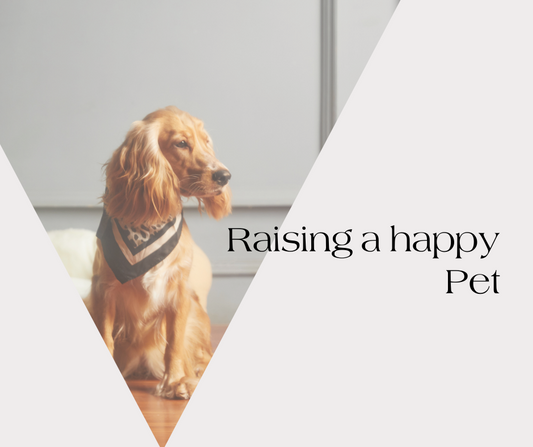 Raising a Happy Pet
