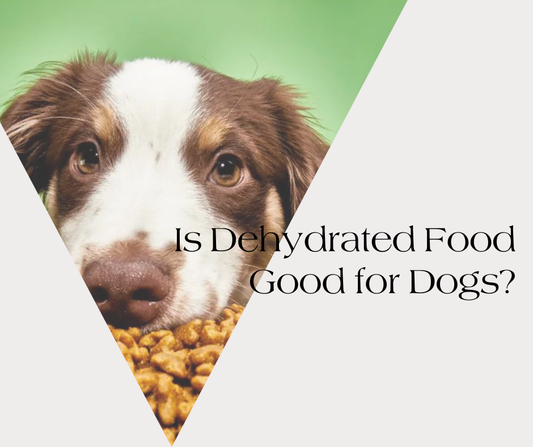 Is Dehydrated Food Good for Dogs or Not?