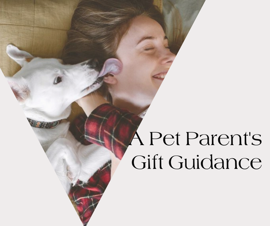 A Sustainable Pet Parent's Gift Guidance