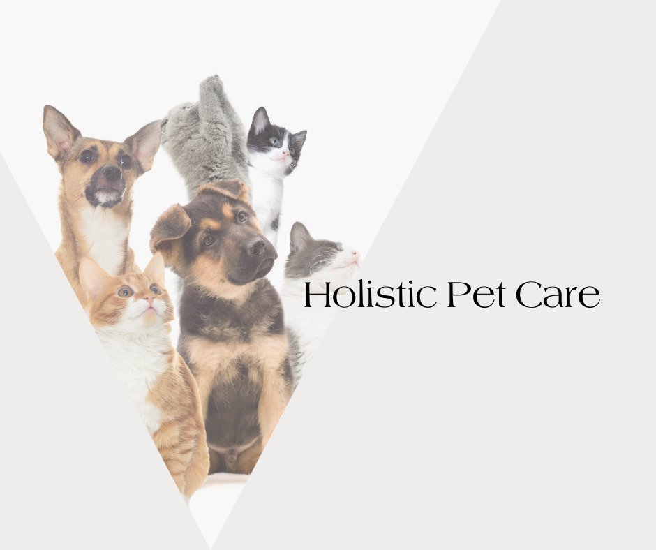 Neema's Pets standard Blog Post sheet, the photo frame is of a several pets containing dogs and cats. The text on the sheet is 'Holistic Pet Care'