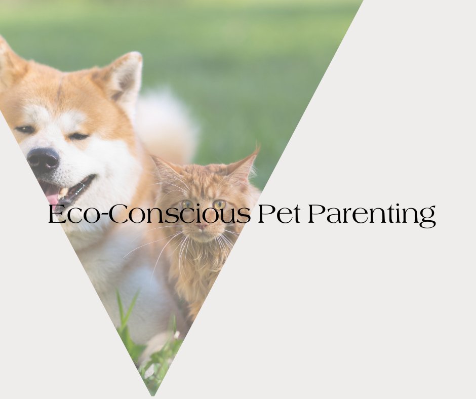 Neema's Pets standard Blog Post sheet, the photo frame is of a usky and a main coon next to each other on green grass. The text on the sheet is 'Eco-Conscious Pet Parenting'