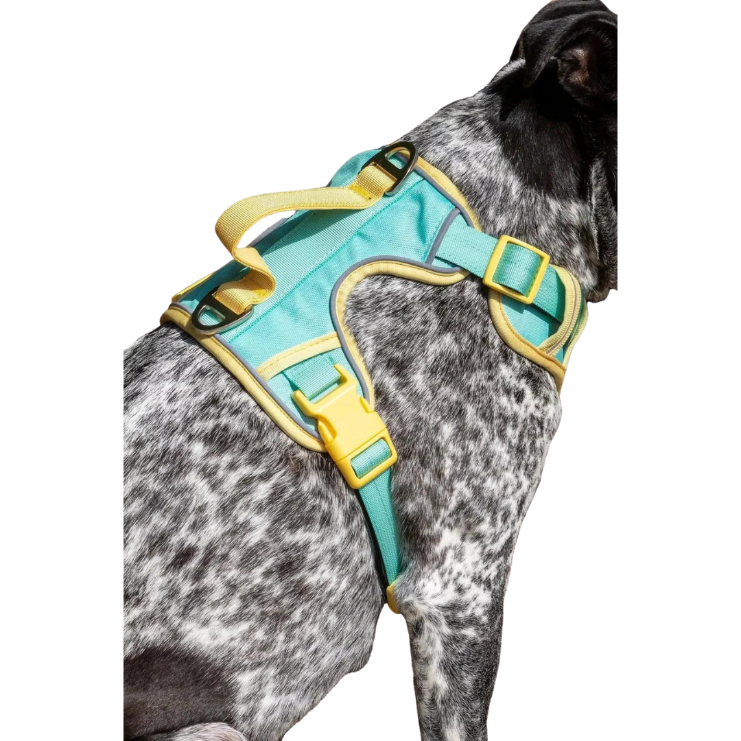 Island Vibes Ultimate Dog Harness