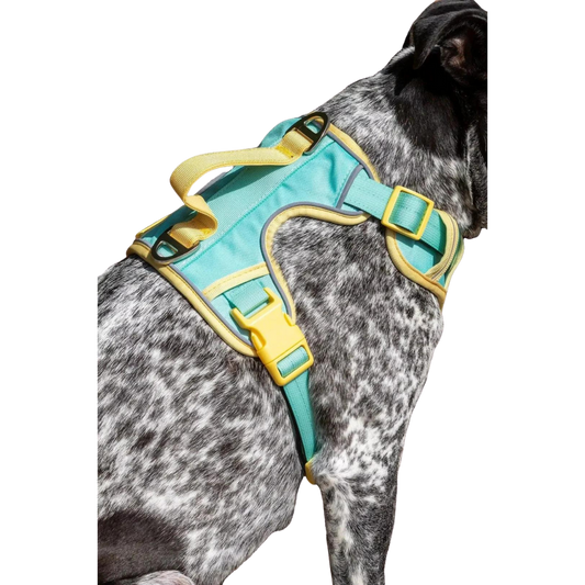 Island Vibes Ultimate Dog Harness