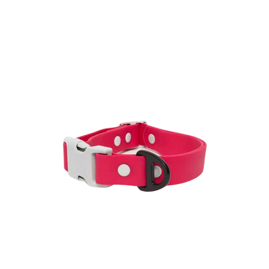Red Mountain Syrah Waterproof Dog Collar