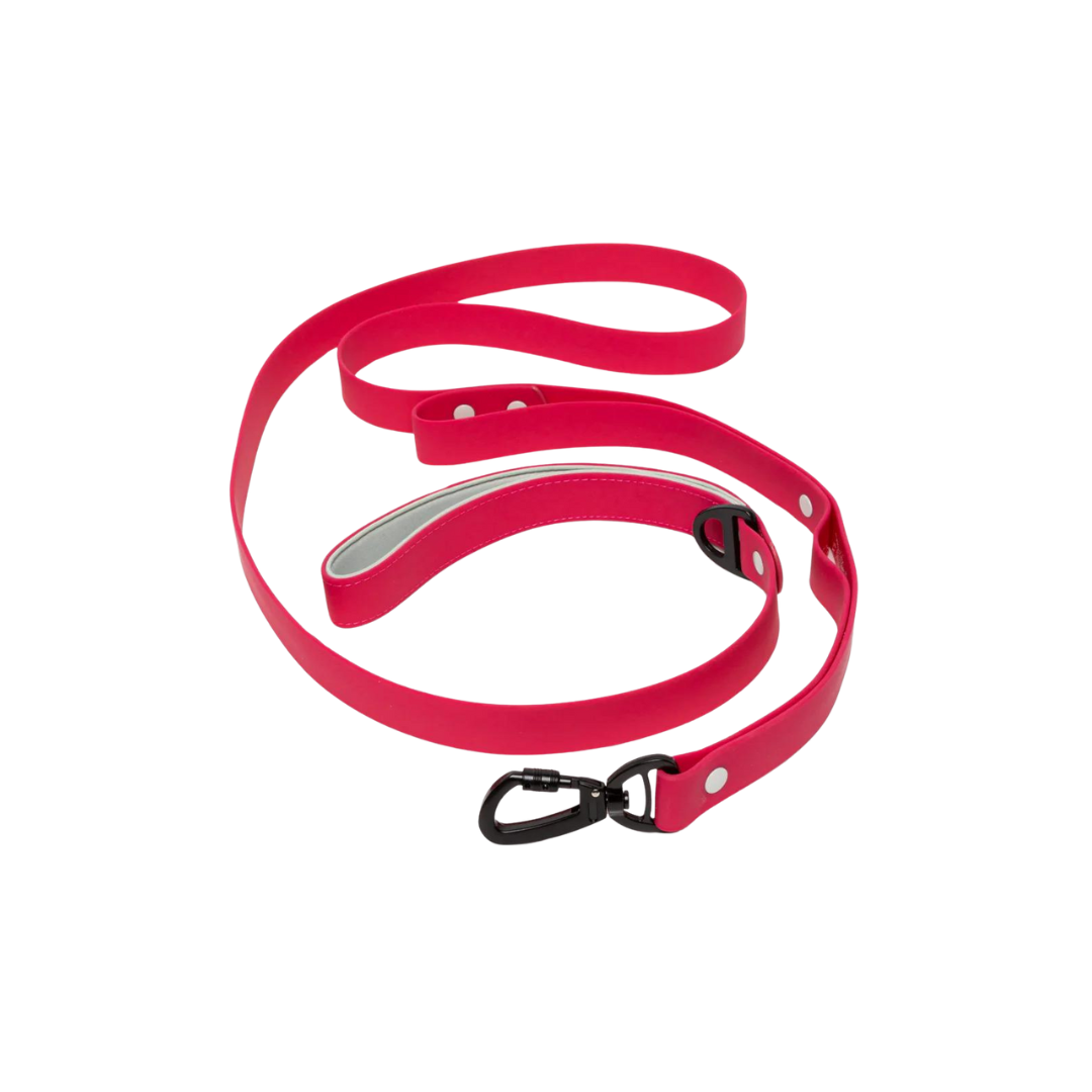 Red Mountain Syrah Waterproof Dog Leash