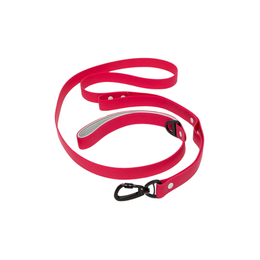 Red Mountain Syrah Waterproof Dog Leash