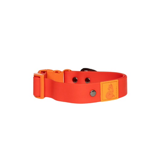 Scarlet Peaks Waterproof Dog Collar