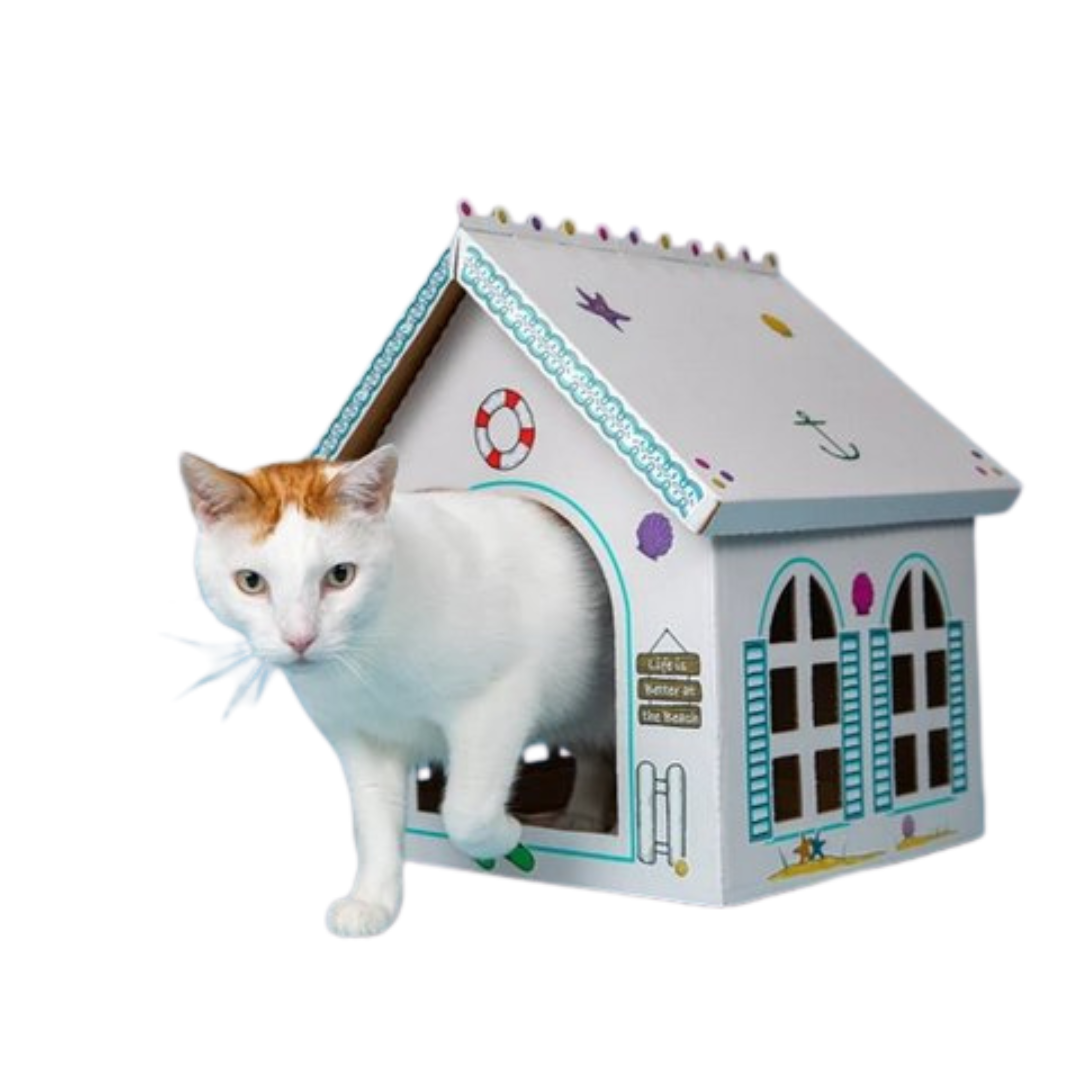 Breezy Beach Cottage Cardboard Cat Playhouse (Pack of 5)