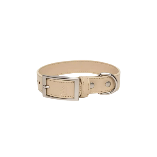 Champagne Fizz Vegan Leather Dog Collar