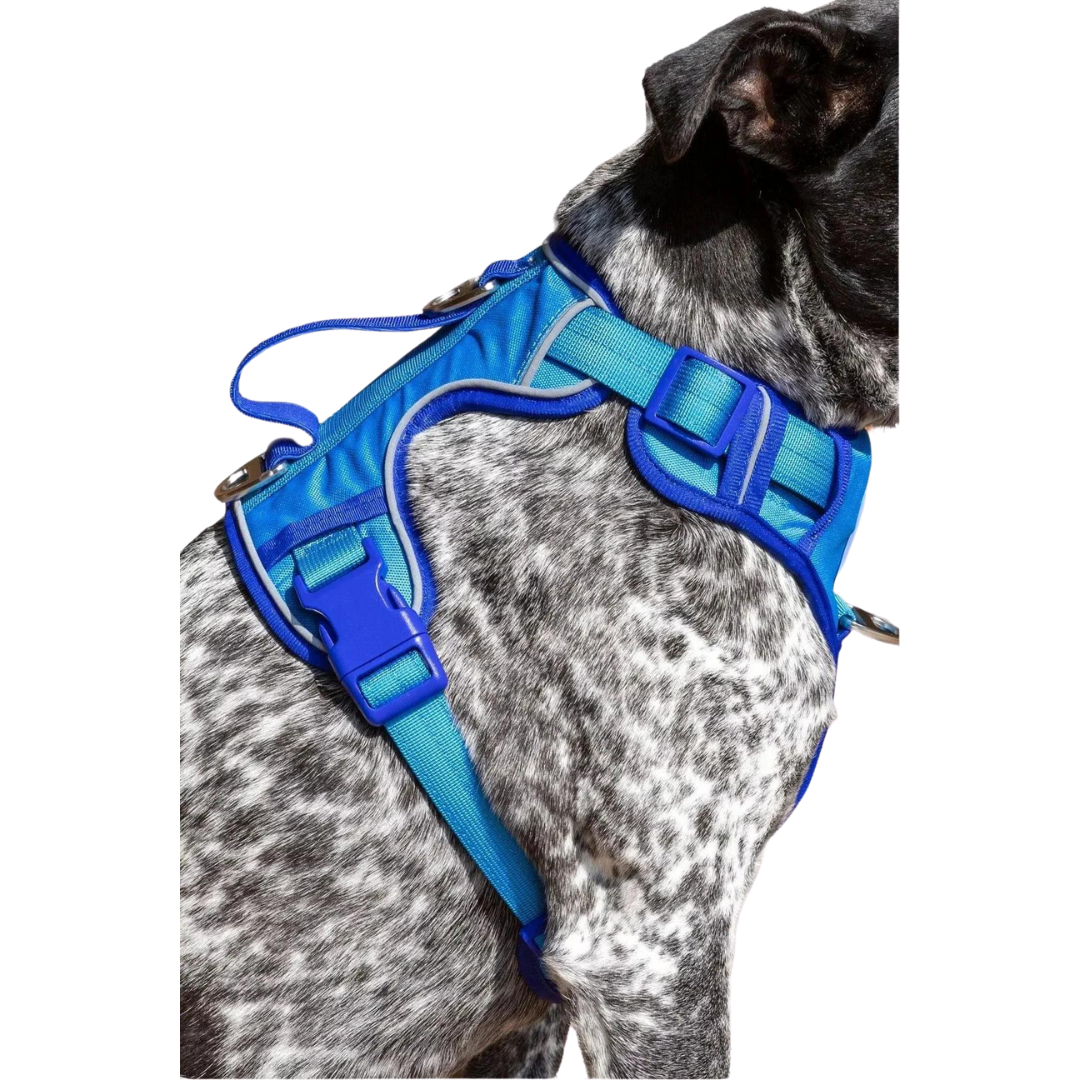 Dockside Adventures Ultimate Harness