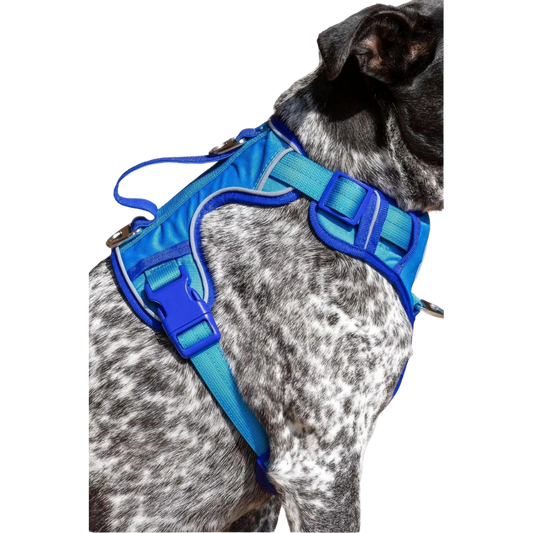 Dockside Adventures Ultimate Harness