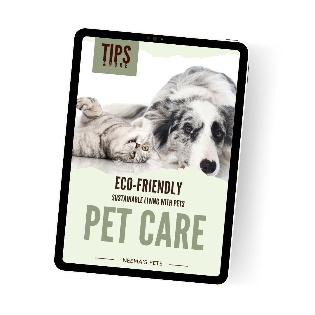 Eco-Friendly Pet Care