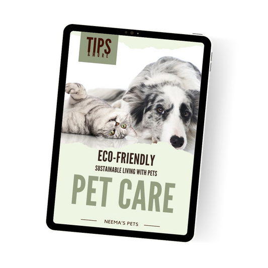 Eco-Friendly Pet Care (offer)