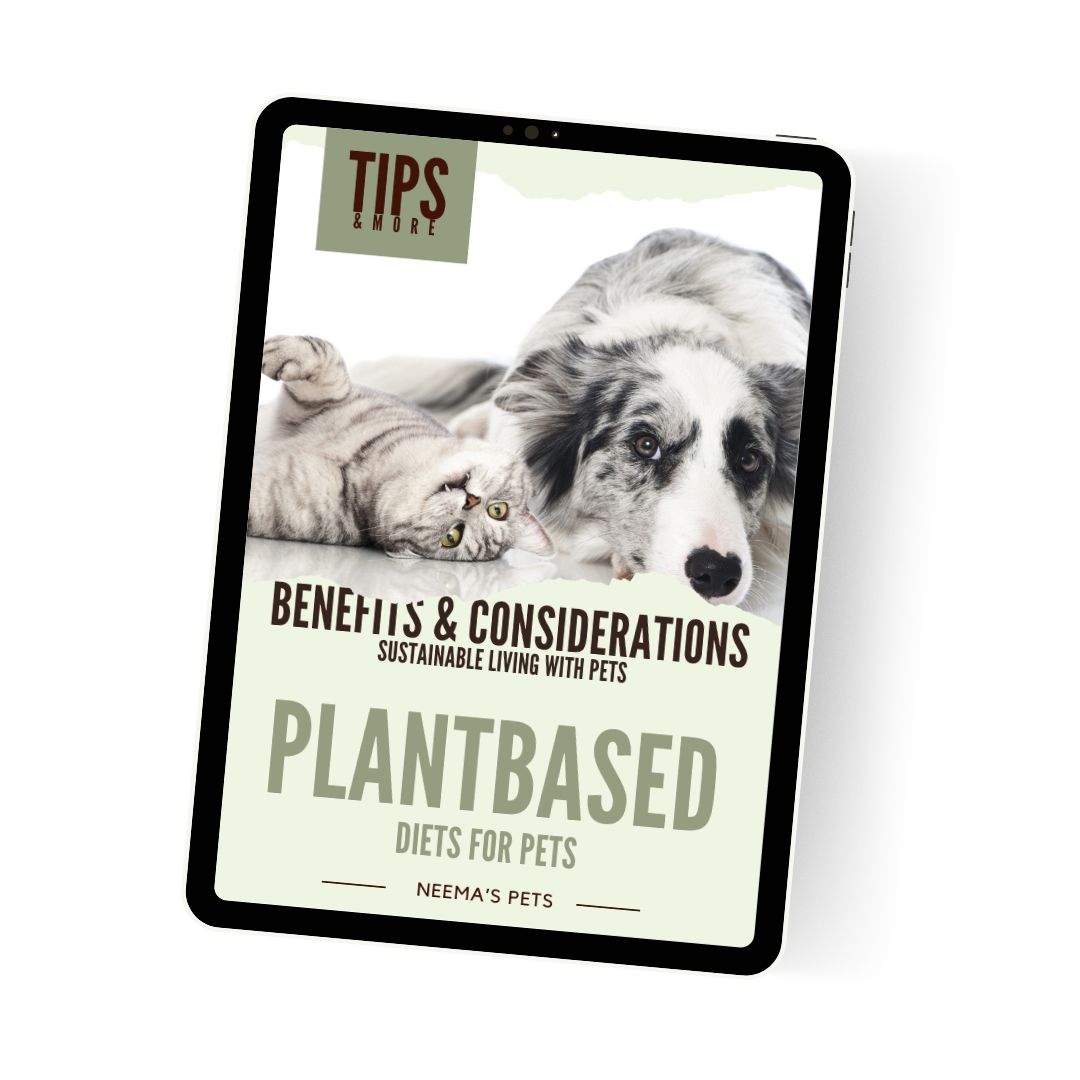 Plantbased Diets for Pets: Benefits & Considerations