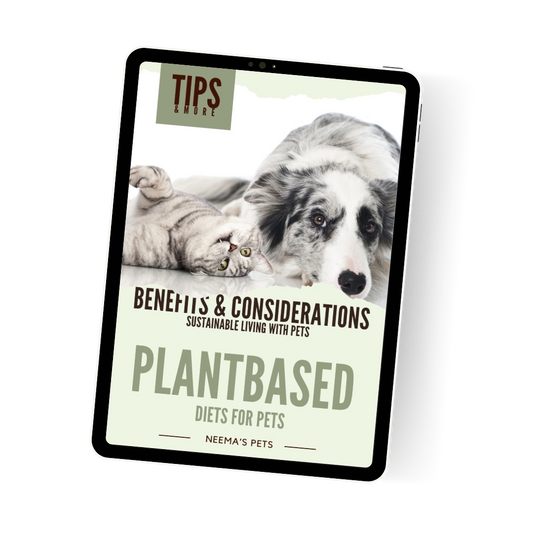 Plantbased Diets for Pets: Benefits & Considerations