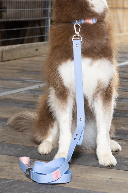 Blue Sky Orchid Waterproof Leash-Aria the Fox-Neema's Pets