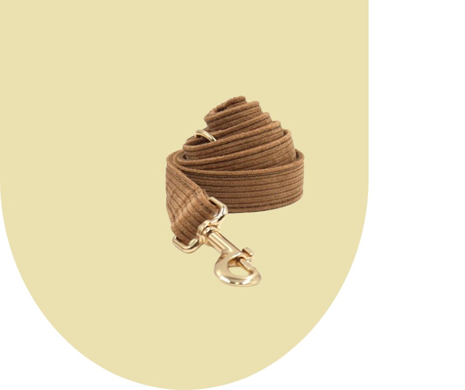 Brown Corduroy Pet Collection: Luxurious GPS-Compatible Gear-Heyripet-Neema's Pets