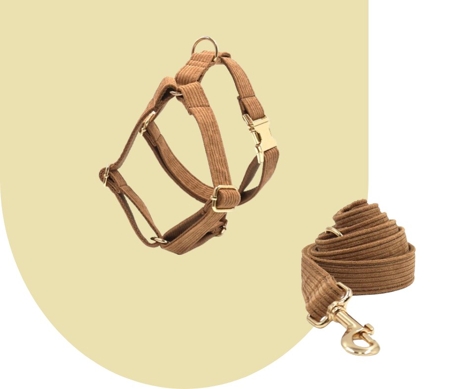 Brown Corduroy Pet Collection: Luxurious GPS-Compatible Gear-Heyripet-Neema's Pets