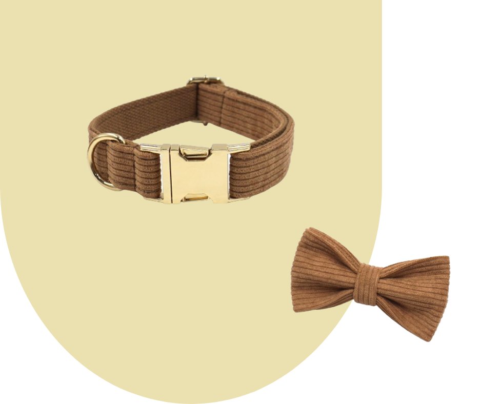 Brown Corduroy Pet Collection: Luxurious GPS-Compatible Gear-Heyripet-Neema's Pets
