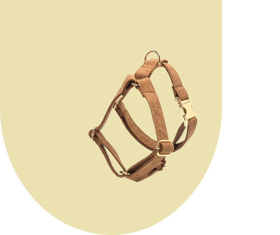 Brown Corduroy Pet Collection: Luxurious GPS-Compatible Gear-Heyripet-Neema's Pets