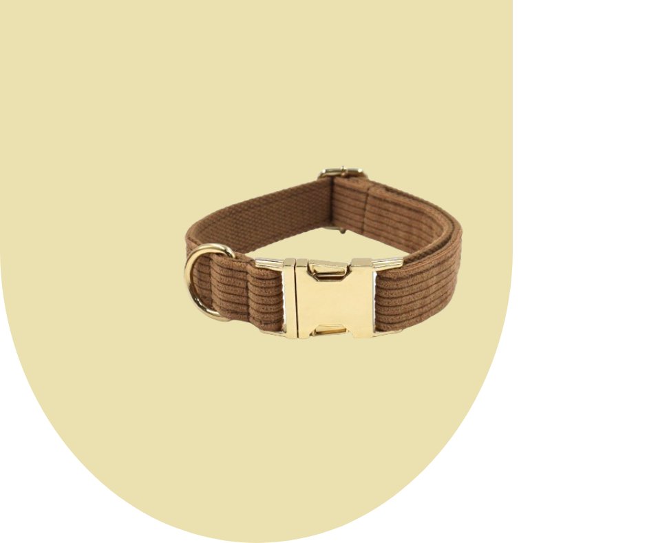 Brown Corduroy Pet Collection: Luxurious GPS-Compatible Gear-Heyripet-Neema's Pets