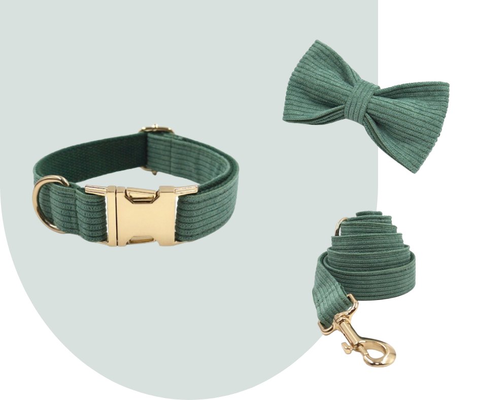 Dark Green Corduroy Pet Collection: Enhance Your Pet's Comfort-Heyripet-Neema's Pets