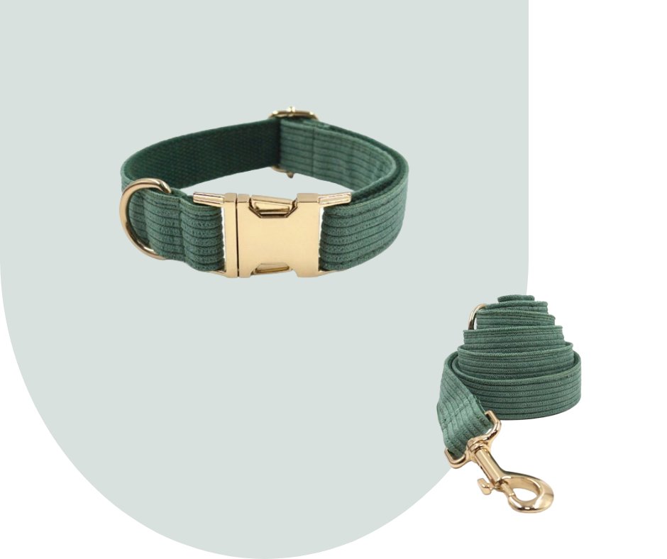 Dark Green Corduroy Pet Collection: Enhance Your Pet's Comfort-Heyripet-Neema's Pets