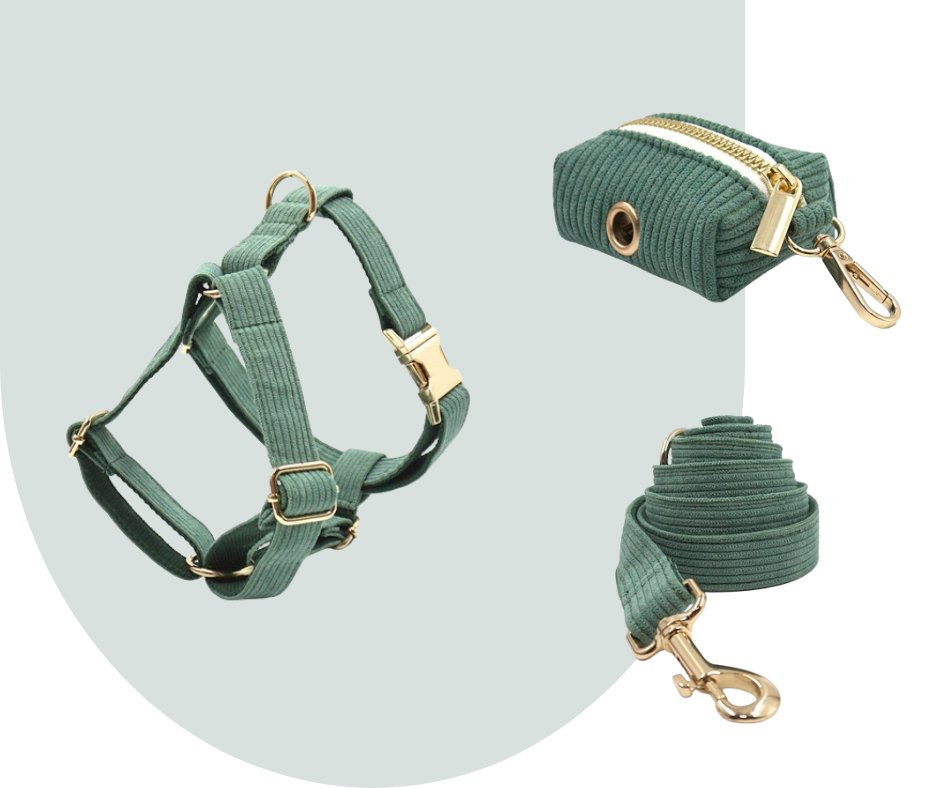 Dark Green Corduroy Pet Collection: Enhance Your Pet's Comfort-Heyripet-Neema's Pets