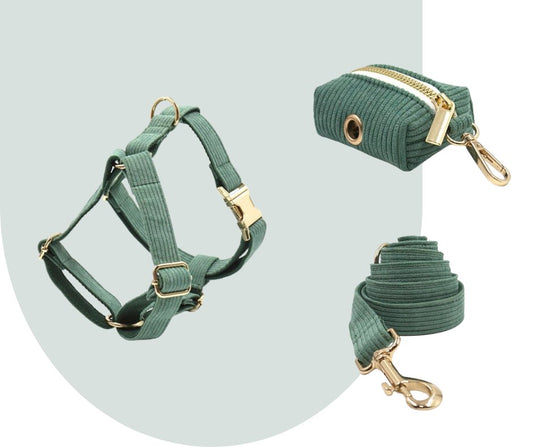 Dark Green Corduroy Pet Collection: Enhance Your Pet's Comfort-Heyripet-Neema's Pets