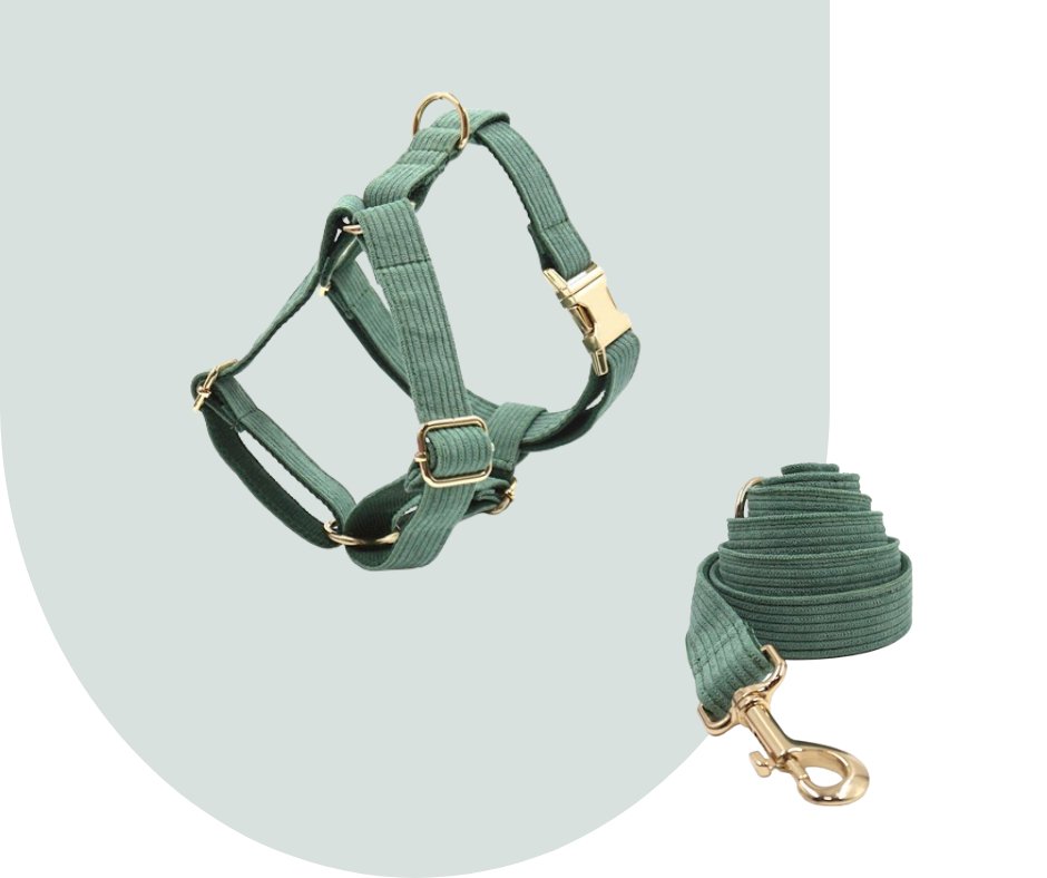 Dark Green Corduroy Pet Collection: Enhance Your Pet's Comfort-Heyripet-Neema's Pets