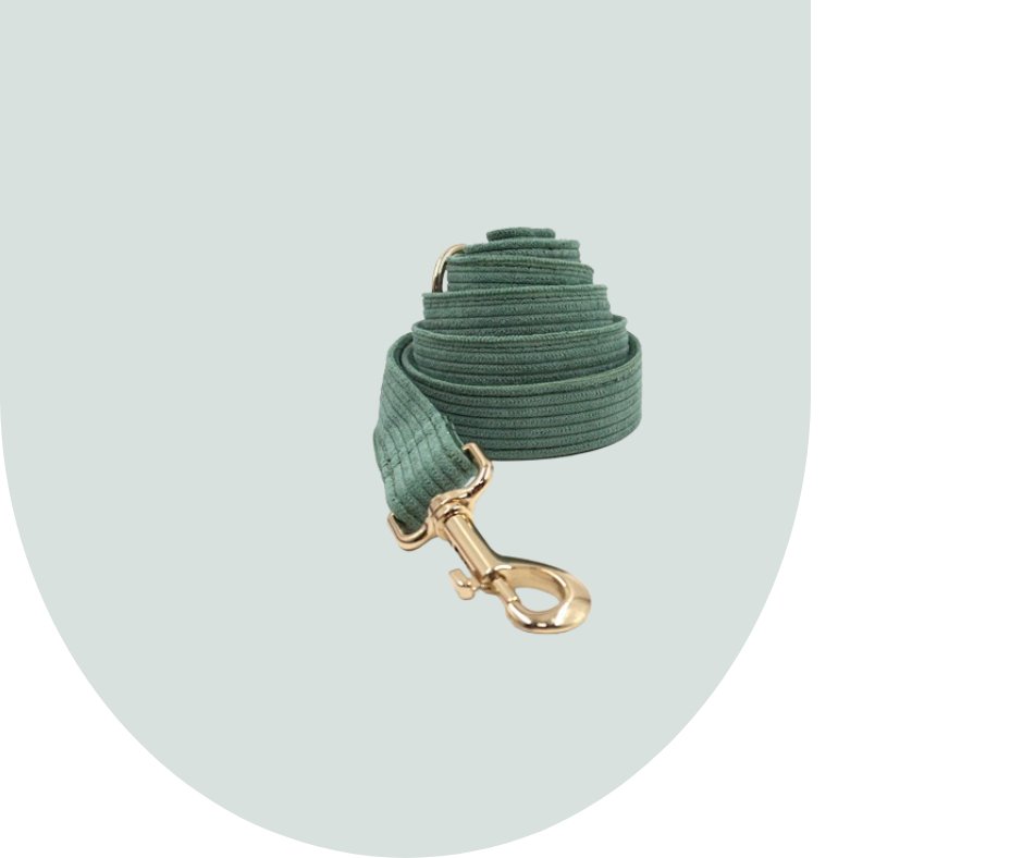 Dark Green Corduroy Pet Collection: Enhance Your Pet's Comfort-Heyripet-Neema's Pets