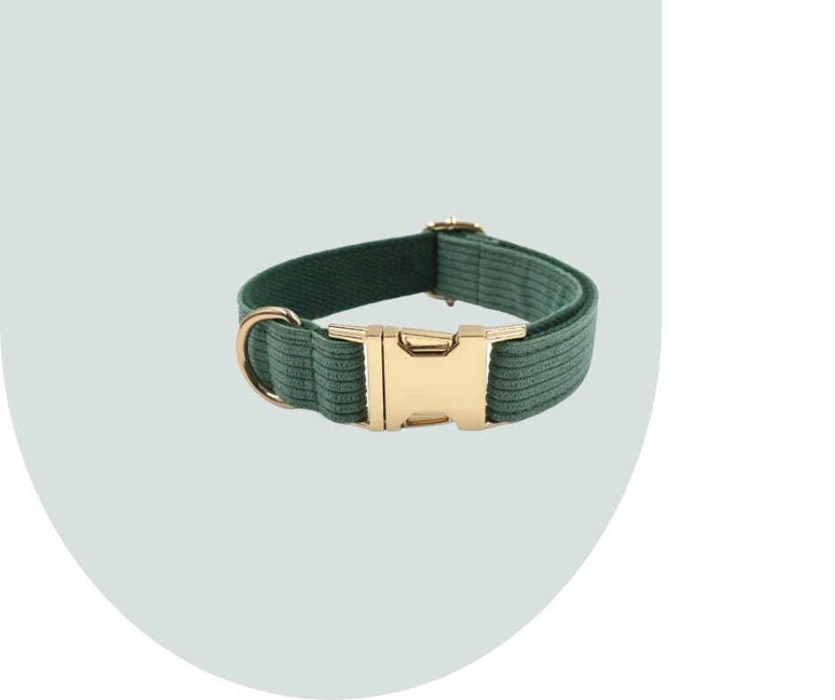 Dark Green Corduroy Pet Collection: Enhance Your Pet's Comfort-Heyripet-Neema's Pets