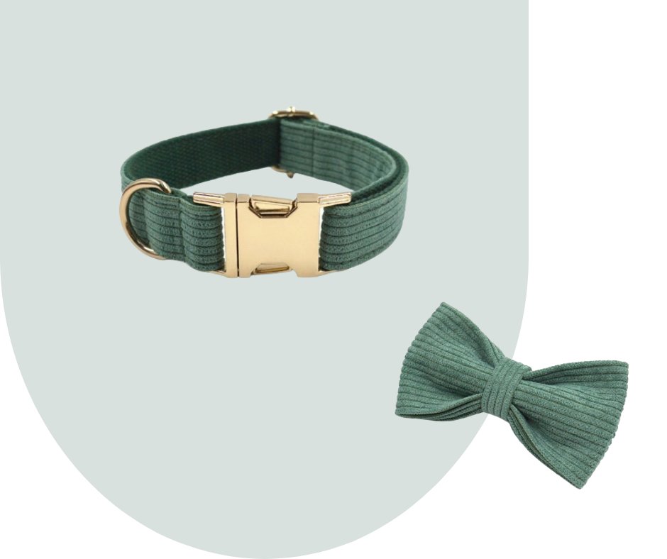 Dark Green Corduroy Pet Collection: Enhance Your Pet's Comfort-Heyripet-Neema's Pets