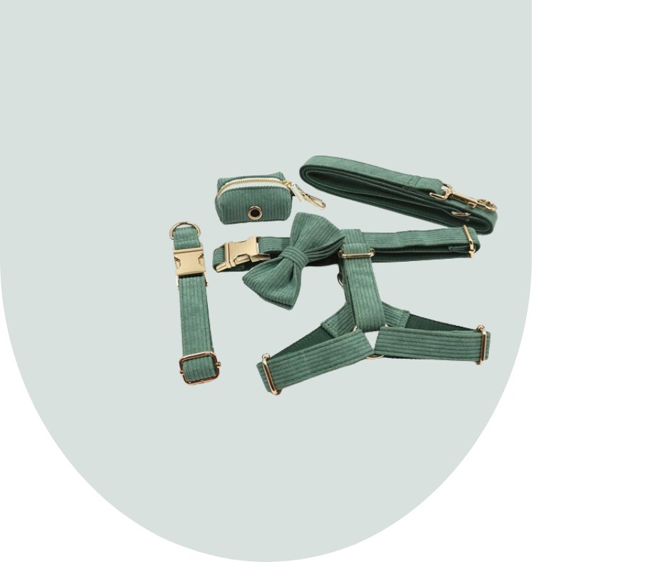Dark Green Corduroy Pet Collection: Enhance Your Pet's Comfort-Heyripet-Neema's Pets