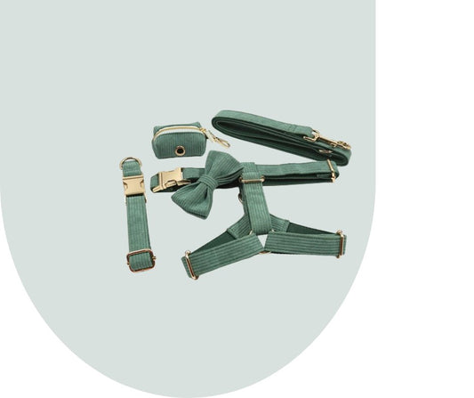 Dark Green Corduroy Pet Collection: Enhance Your Pet's Comfort-Heyripet-Neema's Pets