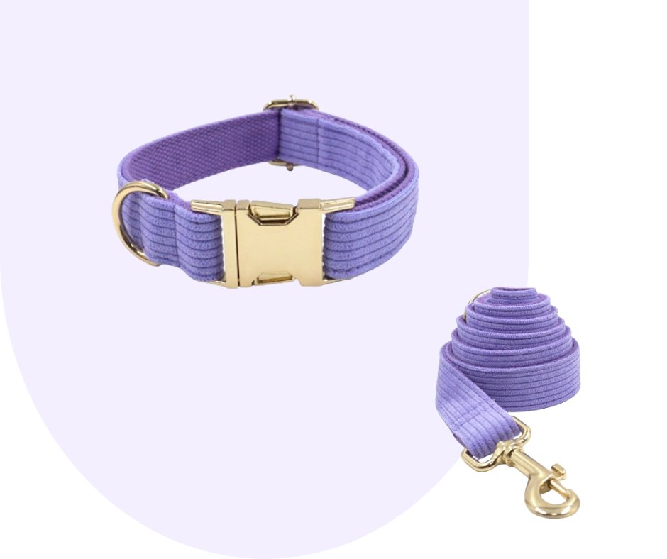 Customizable Dark Purple Corduroy Pet Collection-Heyripet-Neema's Pets