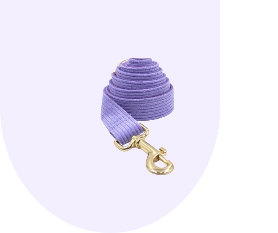 Customizable Dark Purple Corduroy Pet Collection-Heyripet-Neema's Pets