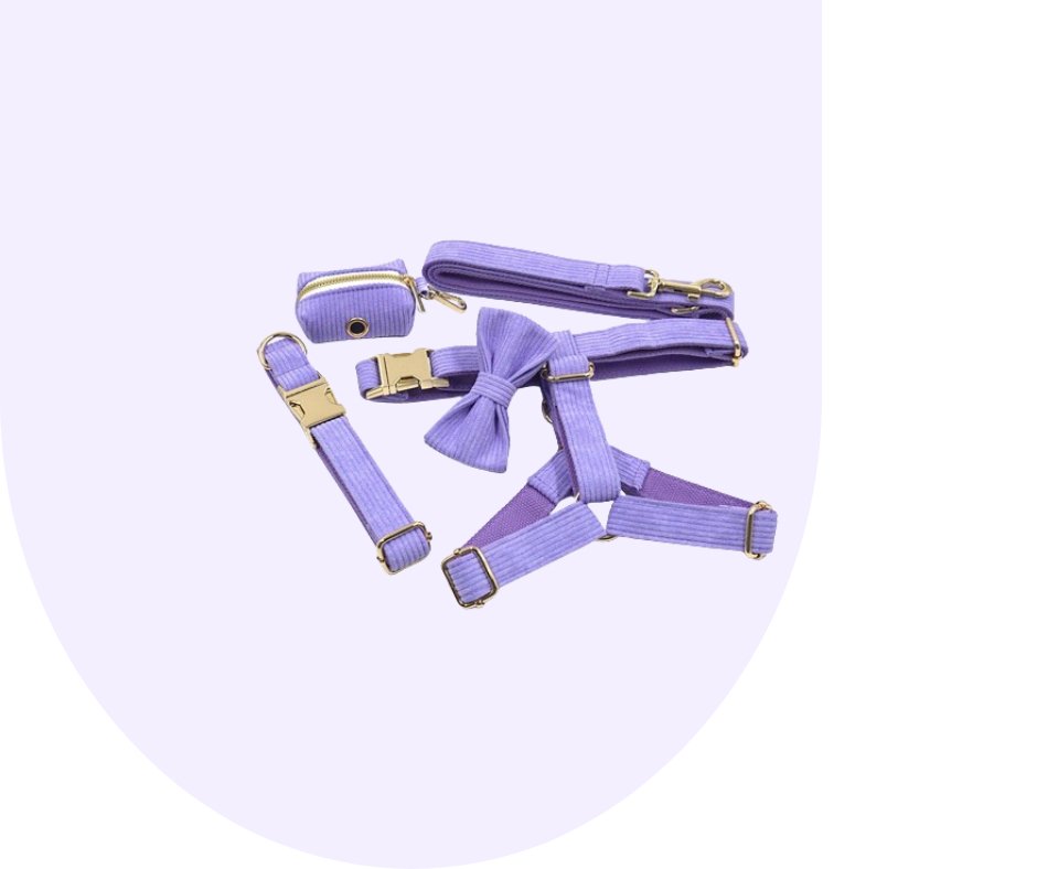 Customizable Dark Purple Corduroy Pet Collection-Heyripet-Neema's Pets