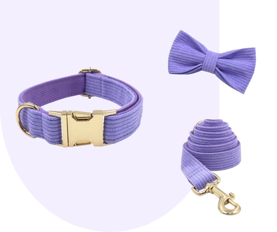 Customizable Dark Purple Corduroy Pet Collection-Heyripet-Neema's Pets