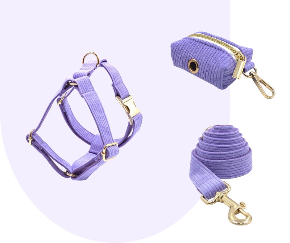 Customizable Dark Purple Corduroy Pet Collection-Heyripet-Neema's Pets
