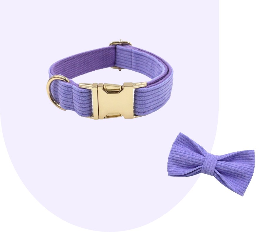 Customizable Dark Purple Corduroy Pet Collection-Heyripet-Neema's Pets