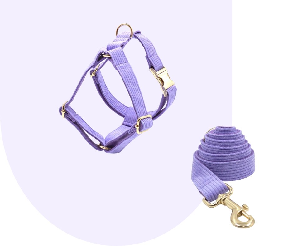 Customizable Dark Purple Corduroy Pet Collection-Heyripet-Neema's Pets