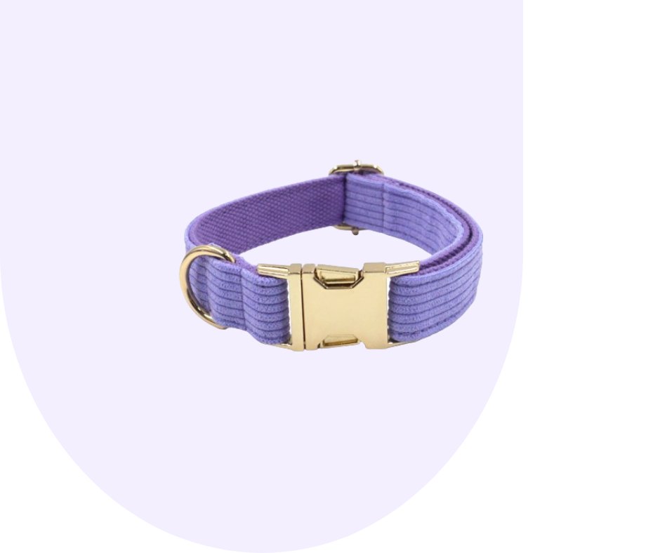 Customizable Dark Purple Corduroy Pet Collection-Heyripet-Neema's Pets