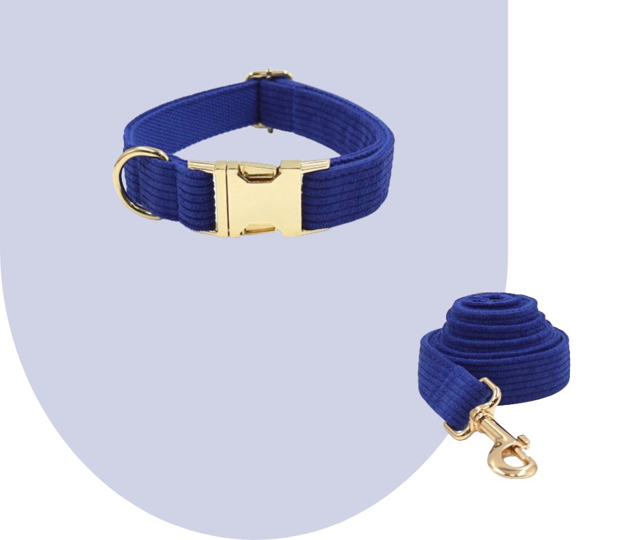 Darkblue Corduroy Pet Collection-Heyripet-Neema's Pets