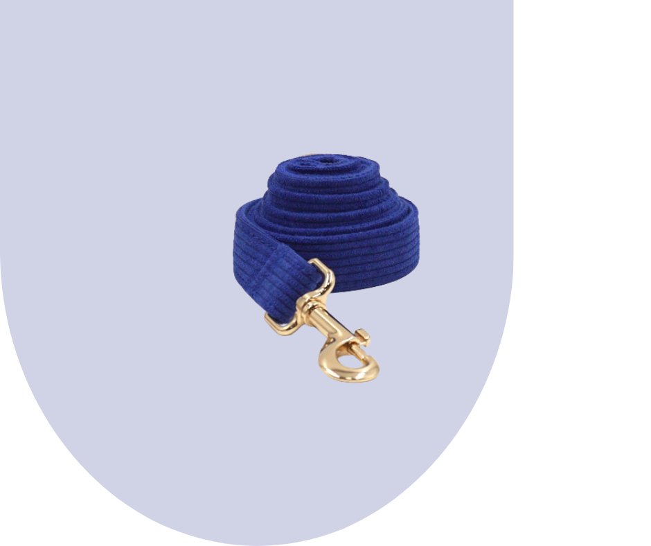 Darkblue Corduroy Pet Collection-Heyripet-Neema's Pets