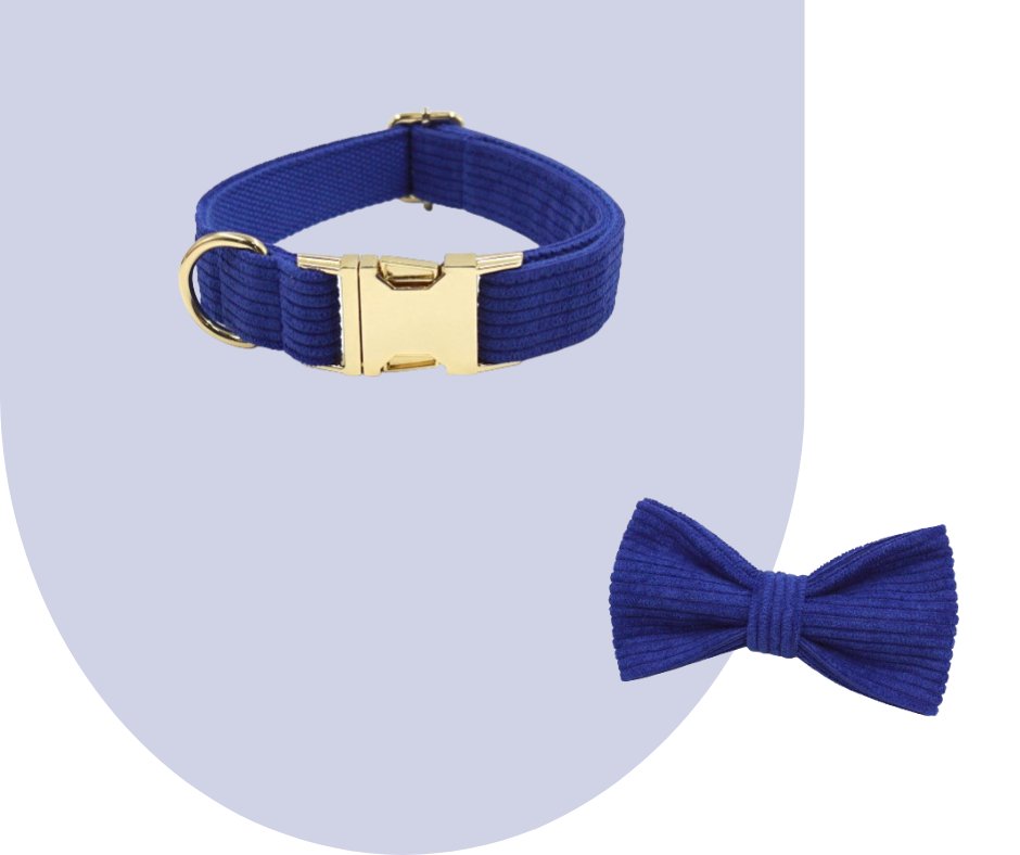 Darkblue Corduroy Pet Collection-Heyripet-Neema's Pets