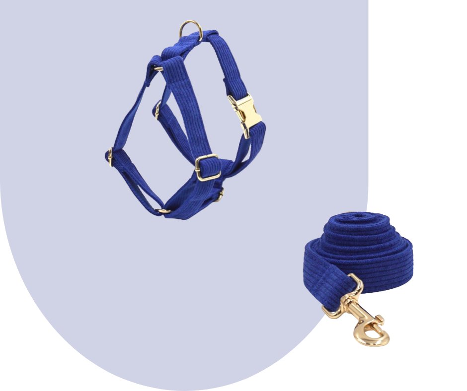 Darkblue Corduroy Pet Collection-Heyripet-Neema's Pets