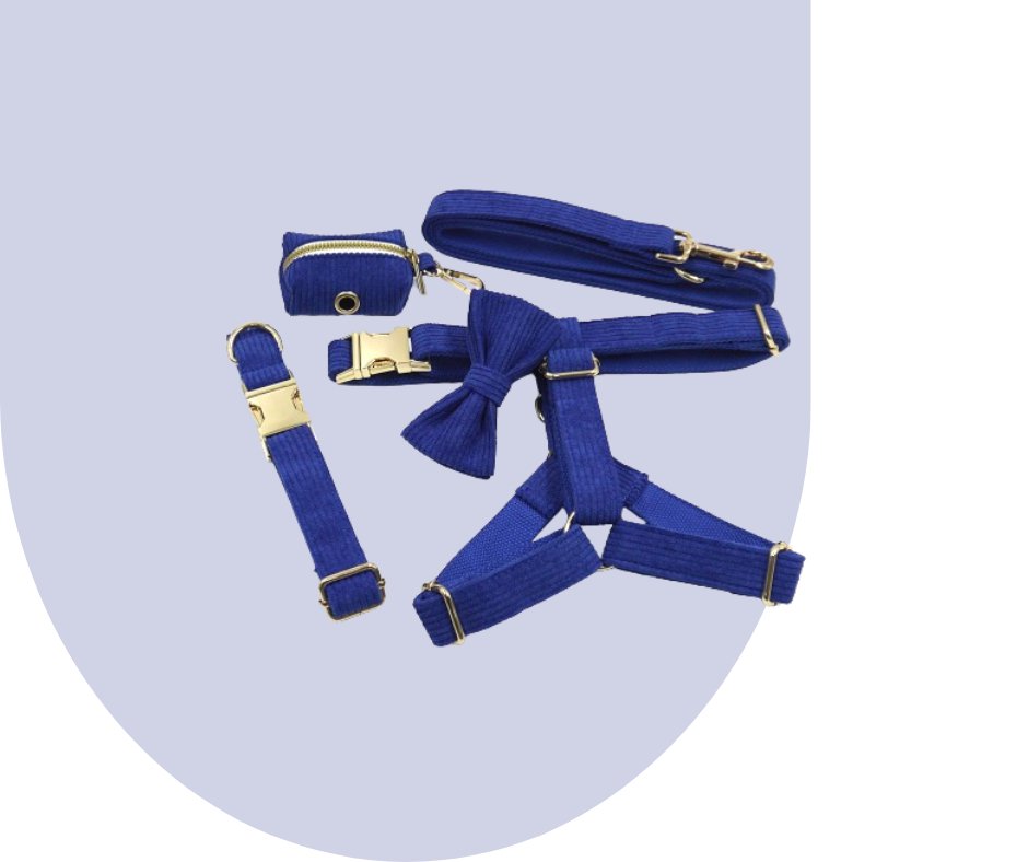 Darkblue Corduroy Pet Collection-Heyripet-Neema's Pets