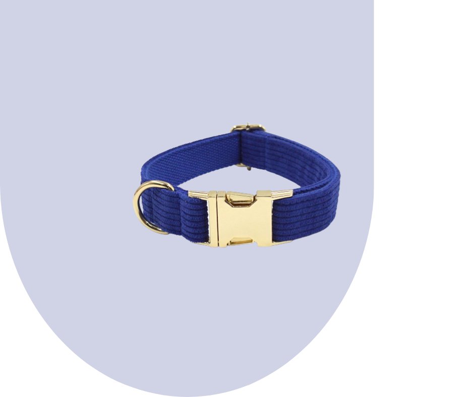 Darkblue Corduroy Pet Collection-Heyripet-Neema's Pets