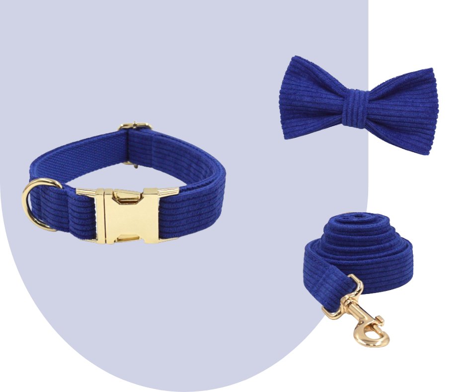 Darkblue Corduroy Pet Collection-Heyripet-Neema's Pets